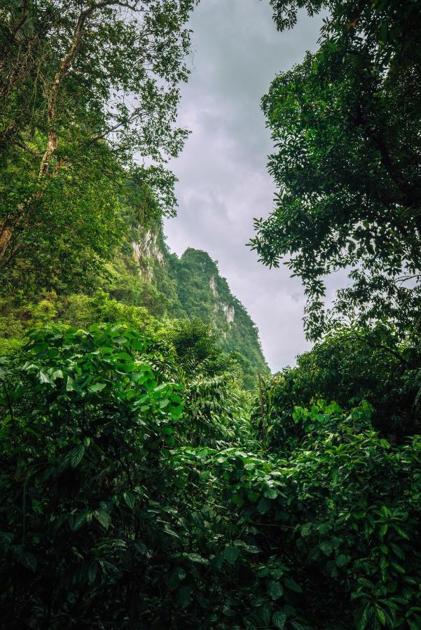 我们的丛林之家酒店【SHA Plus+】 Khao Sok National Park 外观 照片