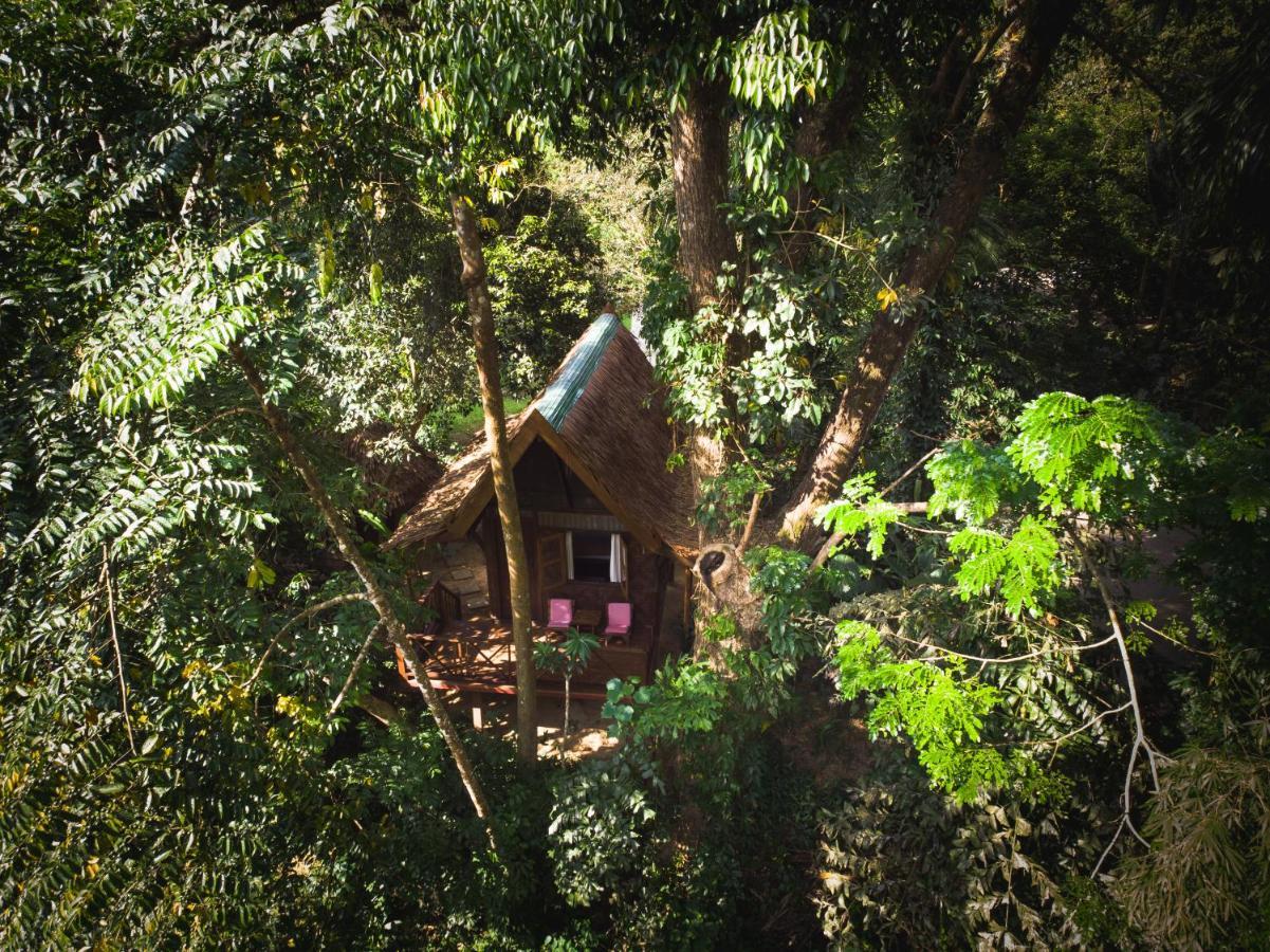 我们的丛林之家酒店【SHA Plus+】 Khao Sok National Park 外观 照片