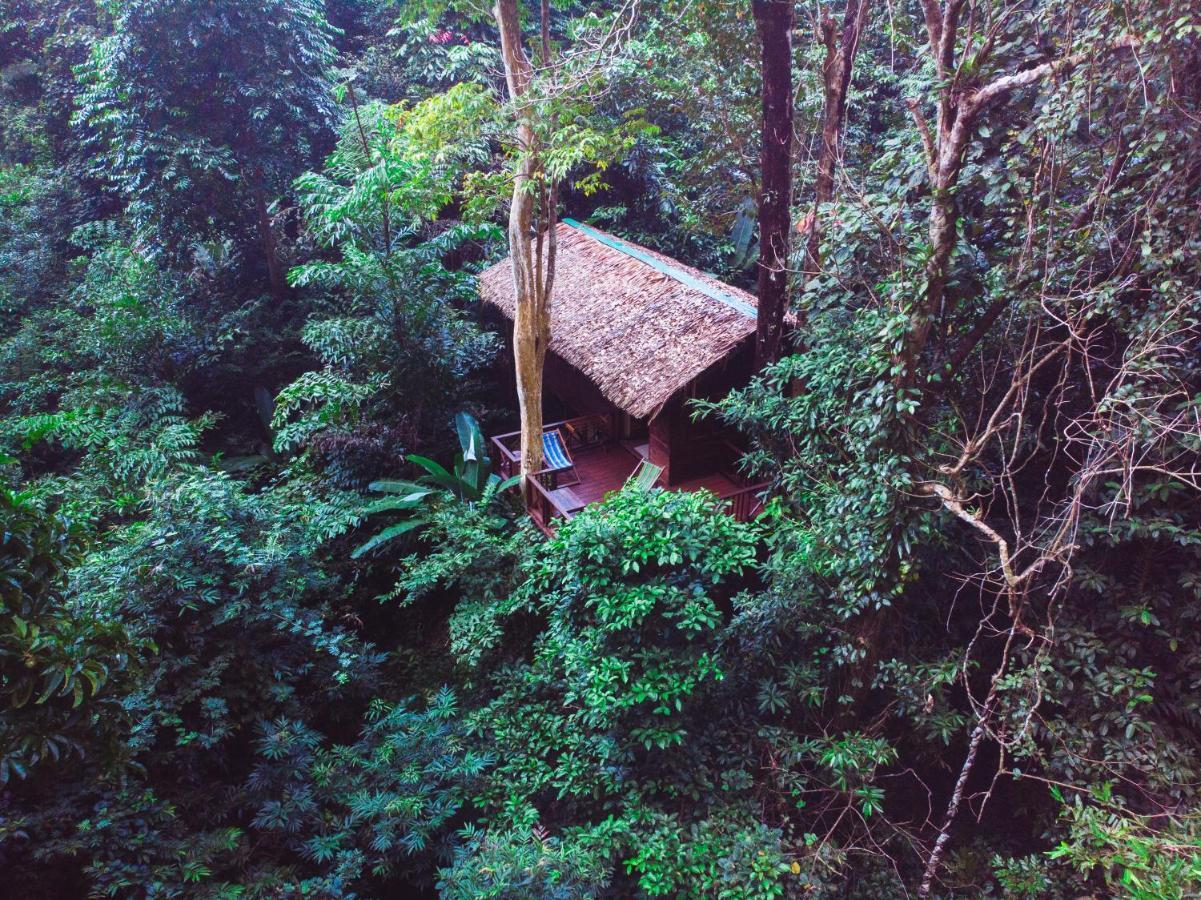 我们的丛林之家酒店【SHA Plus+】 Khao Sok National Park 外观 照片