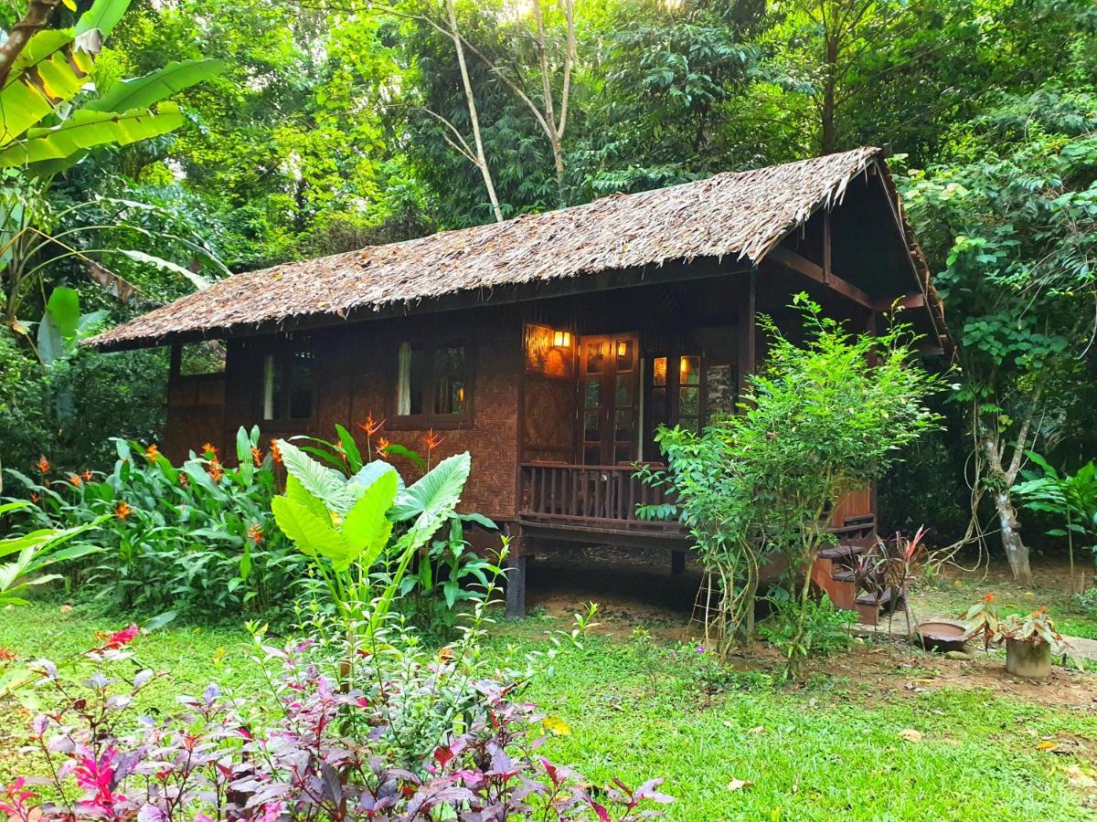 我们的丛林之家酒店【SHA Plus+】 Khao Sok National Park 外观 照片