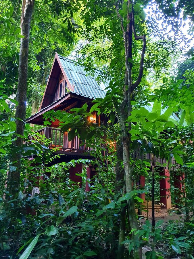 我们的丛林之家酒店【SHA Plus+】 Khao Sok National Park 外观 照片