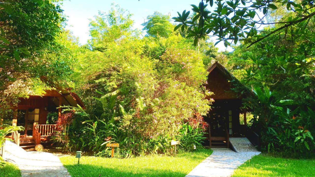 我们的丛林之家酒店【SHA Plus+】 Khao Sok National Park 外观 照片