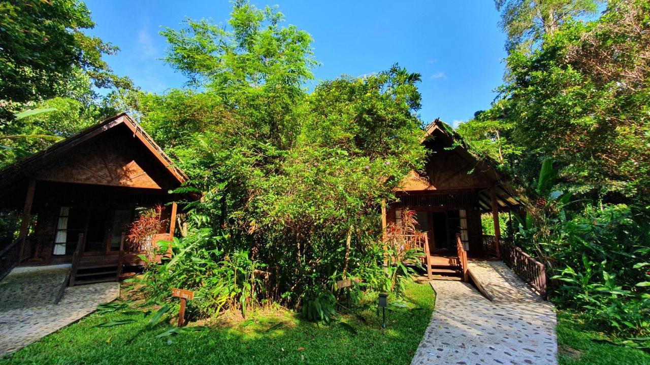 我们的丛林之家酒店【SHA Plus+】 Khao Sok National Park 外观 照片